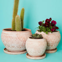 Large Terracotta Belly Pot Saucer