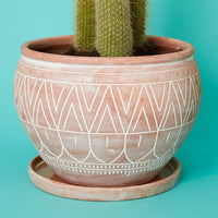 Large Terracotta Belly Pot Saucer