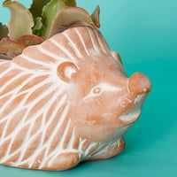 Large Terracotta Hedgehog Pot