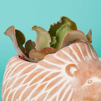 Large Terracotta Hedgehog Pot