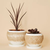Macrame Wrap Terracotta Pot Set