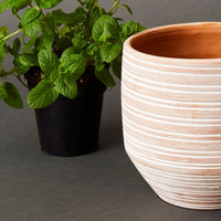 6.5" Small Striped Terracotta Pot