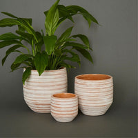 4.5" Small Striped Terracotta Pot
