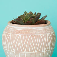 Small Terracotta Belly Pot Saucer