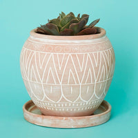 Terracotta Belly Pot Saucer Set