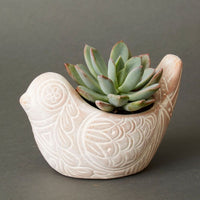Terracotta Bird Pot Set