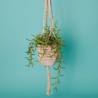 Striped Macrame Terracotta Hanging Pot Set