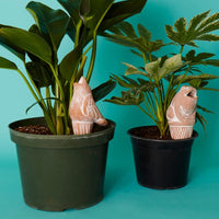 Bird Frog Terracotta Watering Stake Set