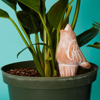 Bird Frog Terracotta Watering Stake Set