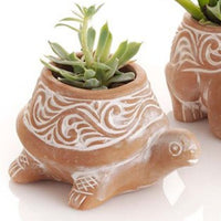 Mini Terracotta Fish Frog Turtle Pot Set