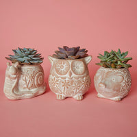 Small Floral Terracotta Owl Pot