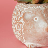 Small Floral Terracotta Hedgehog Pot