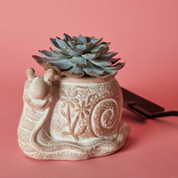 Small Floral Terracotta Owl Hedgehog Snail Pot Set