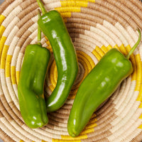 Medium Yellow Spiral Raffia Woven Decorative Bowl