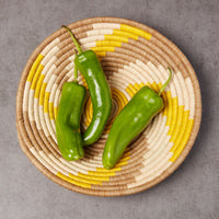 Bright Solid Colors Raffia Woven Fruit Bread Decorative Bowls Set