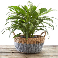 16" Small Wide Cotton Rope Planter Shelf Basket Set of 3