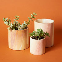 Kisii Stone Cylinder White Succulent Pot Set
