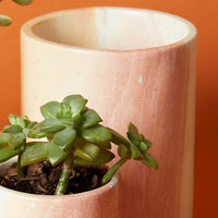 Kisii Stone Cylinder White Succulent Pot Set