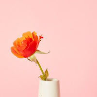 Kisii Stone Tall Natural Bud Vase Succulent Pot