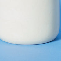 Kisii Stone Bottle White Bud Vase Succulent Pot