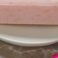 Kisii Stone Natural Hippo Soap Paper Clips Ring Dish