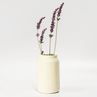 Kisii Stone White Bud Vase Succulent Pot Set of 3