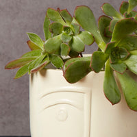 Kisii Soapstone White Face Succulent Pot