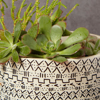 Kisii Soapstone Mud Cloth Round Succulent Pot