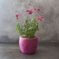 Pink Felt Succulent Planter