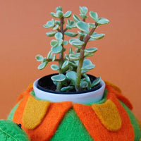 Felt Tortoise Ceramic Planter