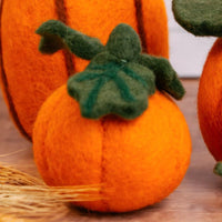 Felt Fall Pumpkins with Vine Set of 3