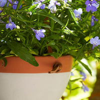Grey Terracotta Leather Hanging Planter