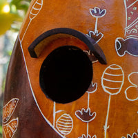 Dragon Fly Gourd Bird House