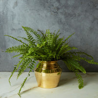 Pure Brass Pot Planter