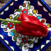 Ceramic Palestine Blue Floral Pickle Dish