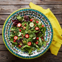 Ceramic Palestine Green Colorful Vine Jumbo Bowl