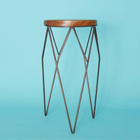 Tall Iron Wire Plant Stand Set