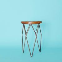 Short Iron Plant Stand