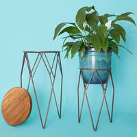 Short Iron Plant Stand