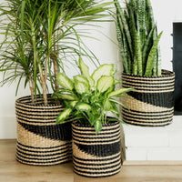 12" Small Seagrass Planter Shelf Basket