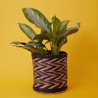 10" Small Zig Zag Seagrass Planter Shelf Basket