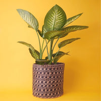 14" Small Spiral Seagrass Planter Shelf Basket