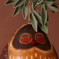 Owl Gourd Bird House