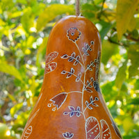 Dragon Fly Gourd Bird House