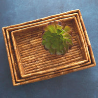 Large Banana Leaf Fruit Bread Office Rectangle Tray