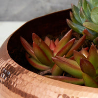 Wide Hand Hammered Copper Planter Bowl