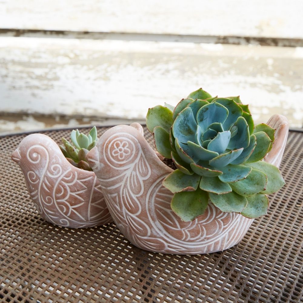 Terracotta Pots, Planters, Lanterns & Tealight Holders.