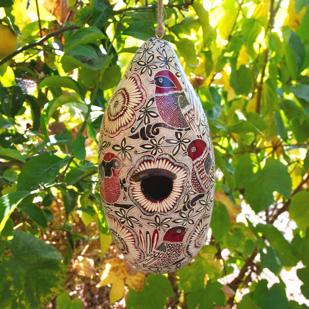 Bird Houses