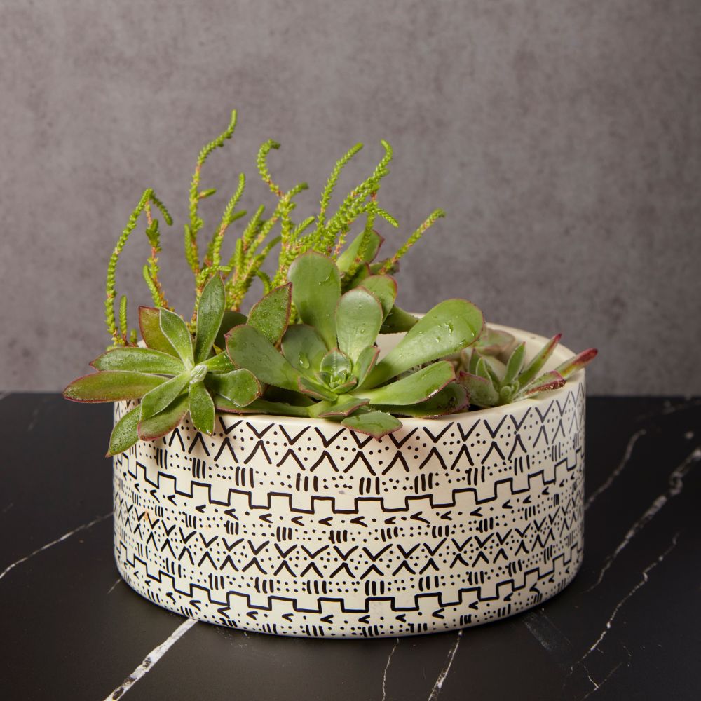 Natural Stone Pots