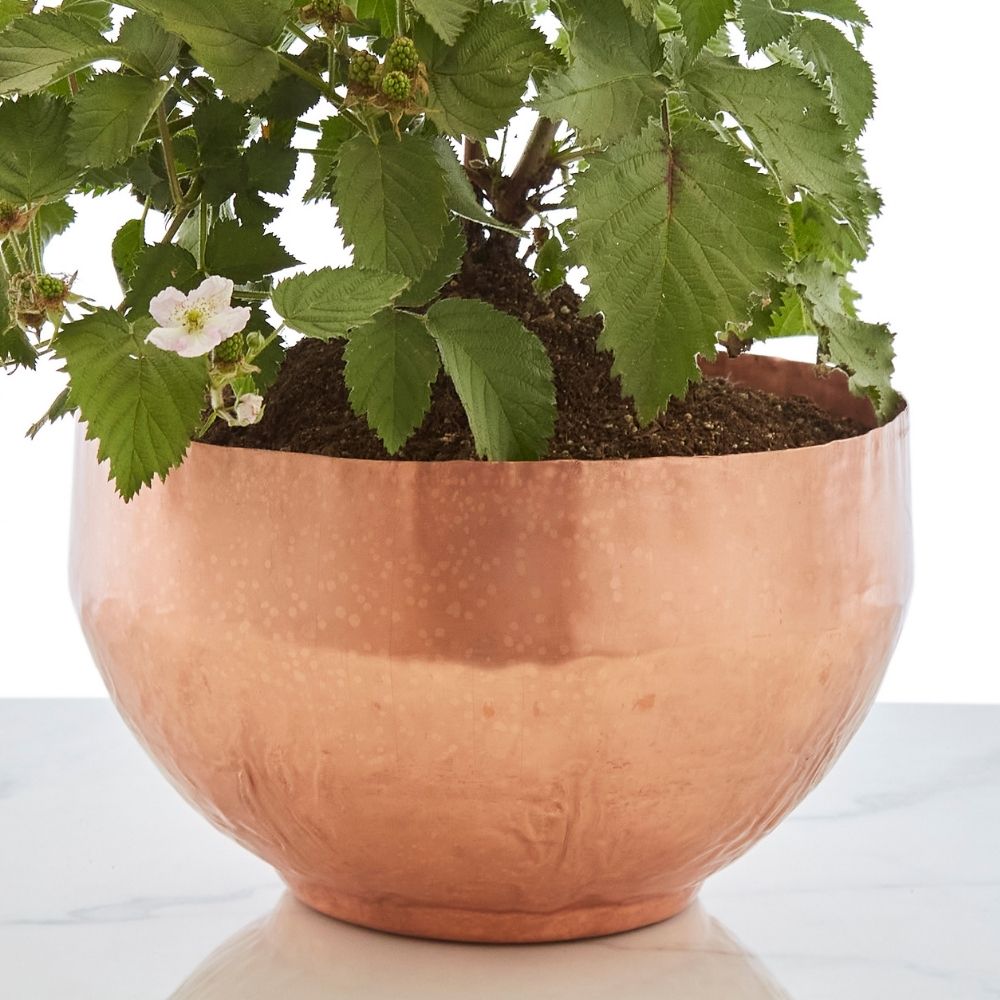 Brass Copper Planters.